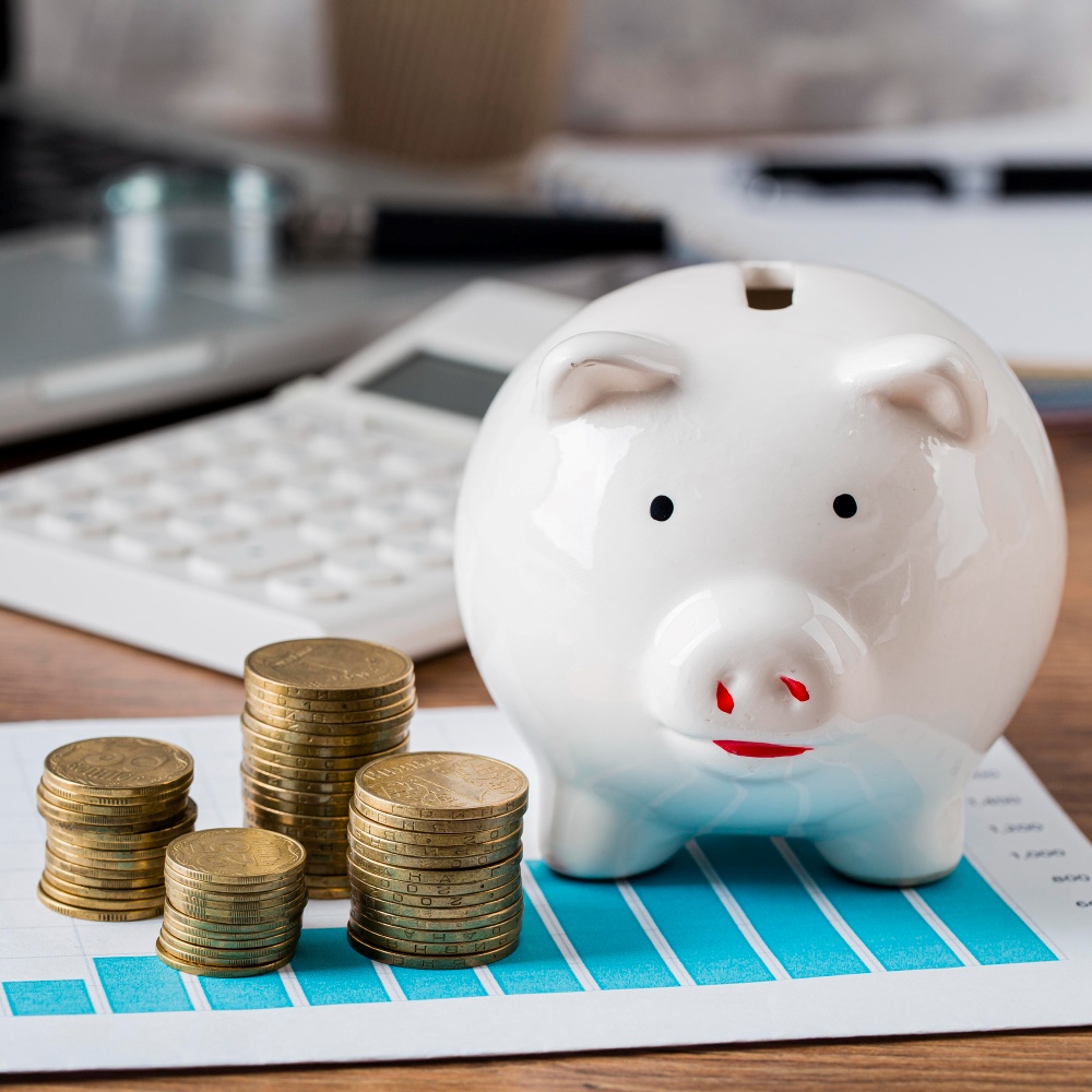 2148780585 gestion de trésorerie TPE-PME, optimiser trésorerie entreprise, prévisionnel de trésorerie, financement entreprise